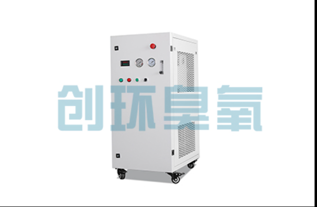 漳州工厂化养鲈必看:2026年臭氧发生器替代传统消毒的最新方案