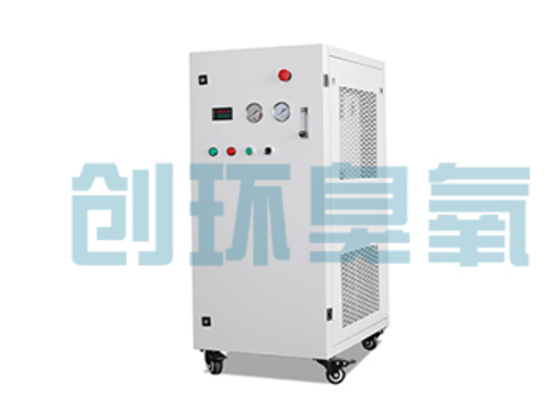 漳州石斑鱼养殖水质调控完整指南:臭氧发生器配置与操作步骤
