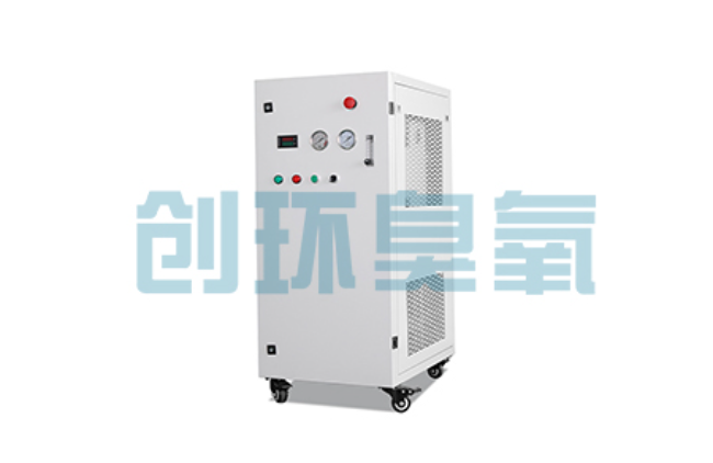 漳州比传统换水更高效?臭氧发生器在石斑鱼养殖中的水质净化原理解析