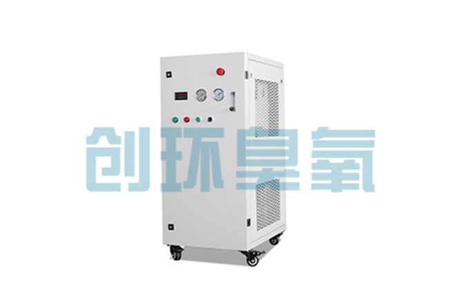 漳州比传统换水更高效?臭氧发生器在石斑鱼养殖中的水质净化原理解析